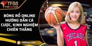 Bóng rổ online - Hướng dẫn cá cược, kinh nghiệm chiến thắng