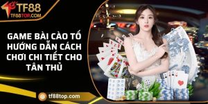 Game bài Cào Tố - Hướng dẫn cách chơi chi tiết cho tân thủ