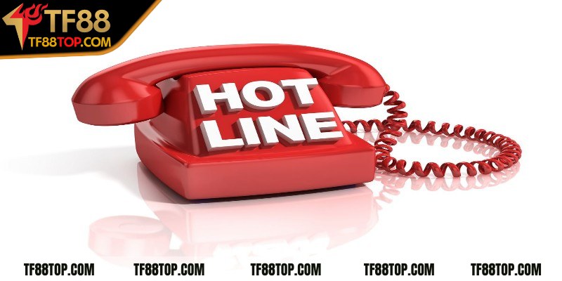 Kết nối nhanh chóng trực tiếp qua số điện thoại hotline