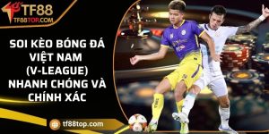 Soi kèo bóng đá Việt Nam (V-League) nhanh chóng và chính xác