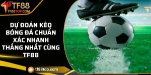 Dự đoán kèo bóng đá chuẩn xác nhanh thắng nhất cùng TF88