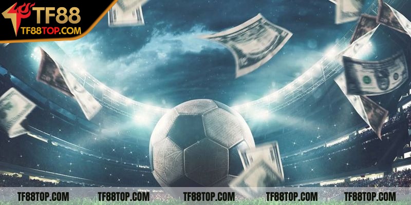 Người chơi nên nghiên cứu thông tin từ nhiều nguồn