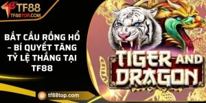 Bắt cầu Rồng Hổ – Bí quyết tăng tỷ lệ thắng tại TF88