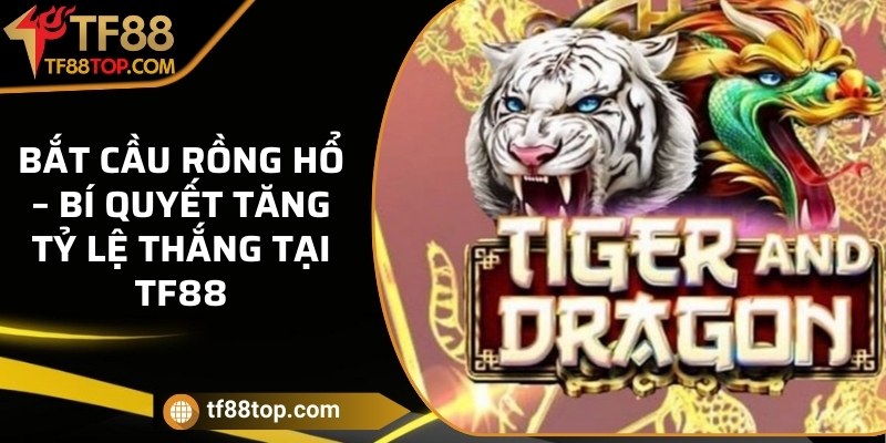 Bắt cầu Rồng Hổ – Bí quyết tăng tỷ lệ thắng tại TF88