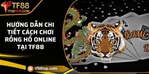 Hướng dẫn chi tiết cách chơi Rồng Hổ online tại TF88