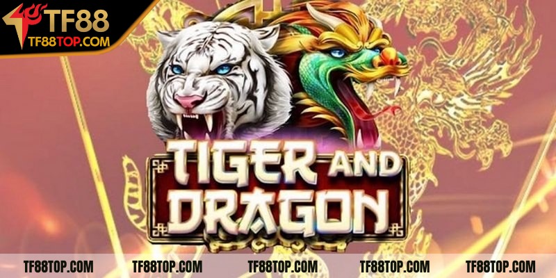 Tìm hiểu khái niệm Rồng Hổ là gì