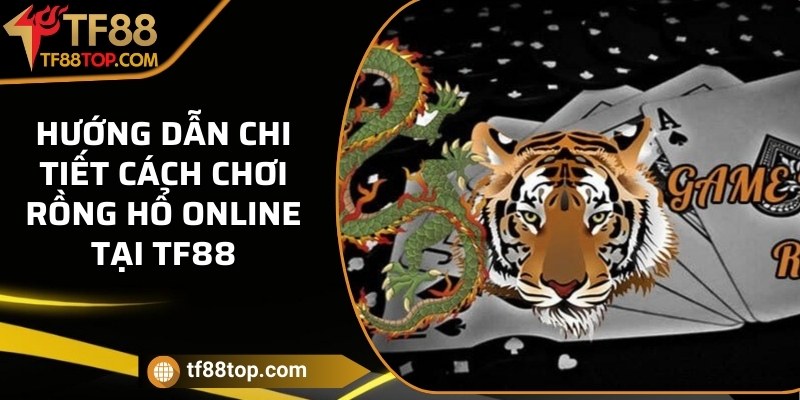 Hướng dẫn chi tiết cách chơi Rồng Hổ online tại TF88
