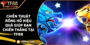 Chiến thuật Rồng Hổ hiệu quả giúp bạn chiến thắng tại TF88