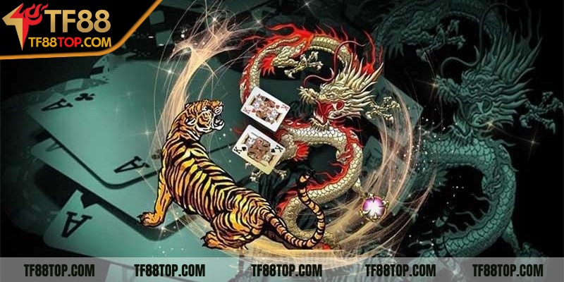 Áp dụng chiến thuật Rồng Hổ để hạn chế rủi ro, tối ưu hoá lợi nhuận