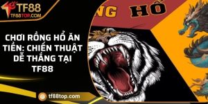 Chơi Rồng Hổ ăn tiền: chiến thuật dễ thắng tại TF88