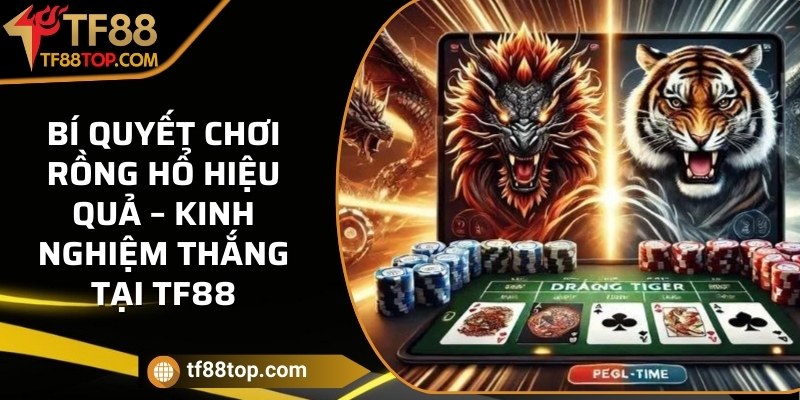 Bí quyết chơi Rồng Hổ hiệu quả – Kinh nghiệm thắng tại TF88
