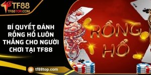 Bí quyết đánh Rồng Hổ luôn thắng cho người chơi tại TF88