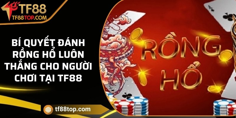 Bí quyết đánh Rồng Hổ luôn thắng cho người chơi tại TF88