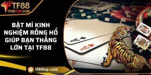 Bật mí kinh nghiệm Rồng Hổ giúp bạn thắng lớn tại TF88