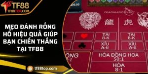 Mẹo đánh Rồng Hổ hiệu quả giúp bạn chiến thắng tại TF88
