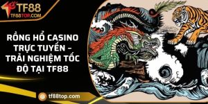 Rồng Hổ casino trực tuyến – Trải nghiệm tốc độ tại TF88