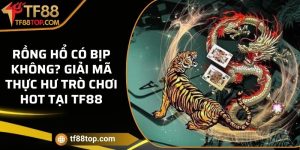 Rồng Hổ có bịp không? Giải mã thực hư trò chơi hot tại TF88