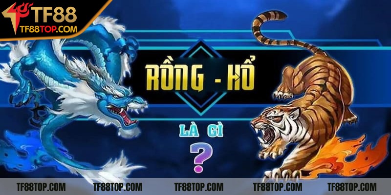 Trải nghiệm rồng hổ đổi thưởng hấp dẫn cùng nền tảng TF88 1 Khái niệm Rồng Hổ đổi thưởng cho người mới tham gia