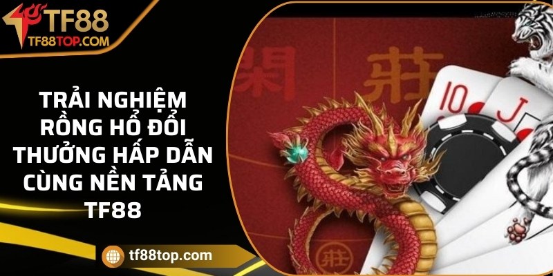 Trải nghiệm rồng hổ đổi thưởng hấp dẫn cùng nền tảng TF88