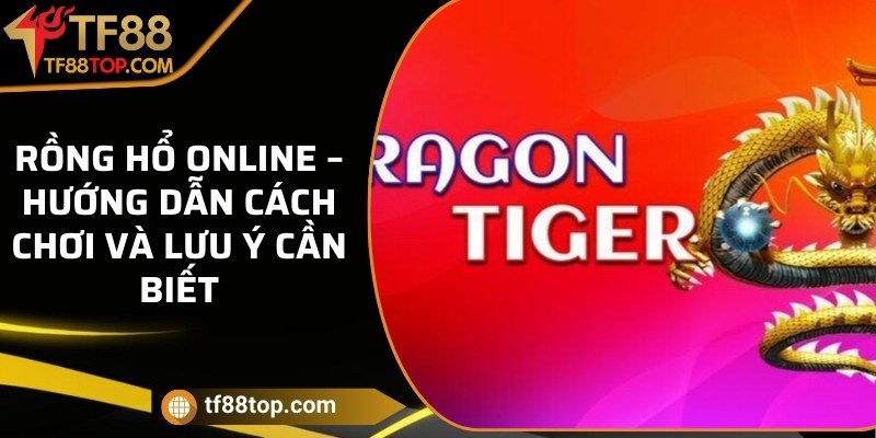 Rồng hổ online – Hướng dẫn cách chơi và lưu ý cần biết