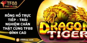 Rồng Hổ trực tiếp – Trải nghiệm chân thật cùng TF88 đỉnh cao