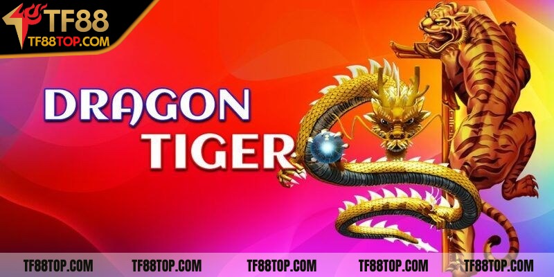 Dealer chuyên nghiệp, thân thiện và có kỹ năng xử lý bài điêu luyện